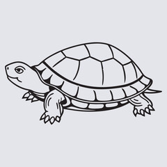 Turtle vector art Illustration file