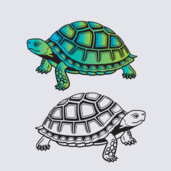 Turtle vector art Illustration file