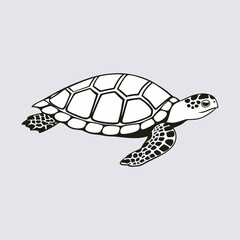 Turtle vector art Illustration file