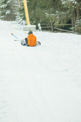 Winter wonderland adventure with snowboarder enjoying a thrilling descent on fresh snow amidst tall evergreen trees in a serene mountain landscape