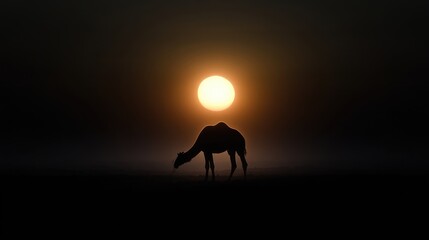 Silhouette of a camel grazing at dawn