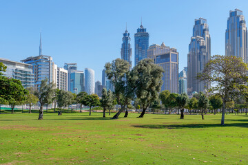 Obraz premium A green park in the center of Dubai with a view of the skyscrapers of Downtown Dubai. A great place to take a break from work