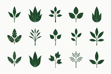 Vector set of green leaves illustration