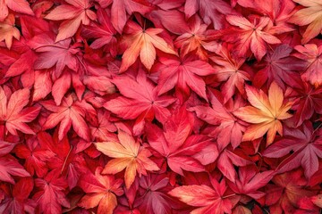 Red autumn leaves background texture. (1)