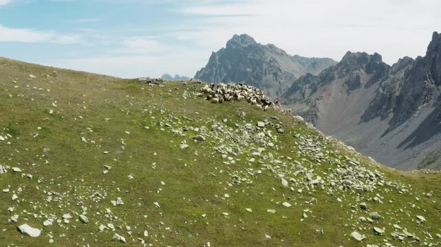 Flying over a flock of sheep grazing on the slopes of the Ka&ccedil;kar Mountains, the drone glides towards Ambar Lake. The steep mountains and geological formations are magnificent.