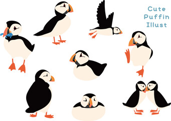 Cute Puffin Illustration Set