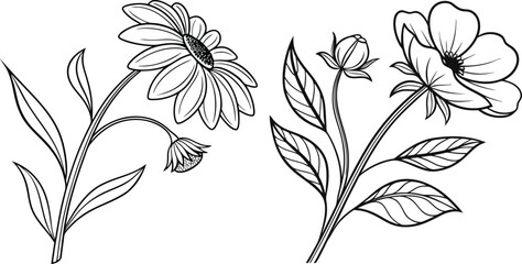 vector illustration of a flower