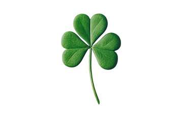 Lucky green shamrock with three leaves isolated, cut out transparent
