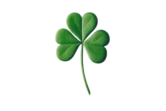 Lucky green shamrock with three leaves isolated, cut out transparent