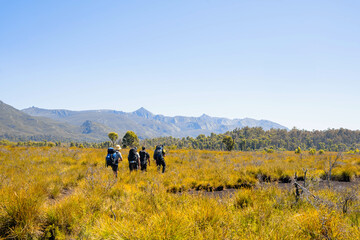 group of hikers walking in the grass