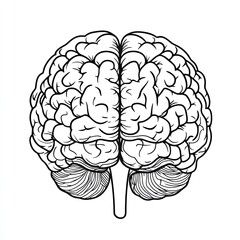 Fototapeta premium Detailed line art illustration of a human brain. (2)