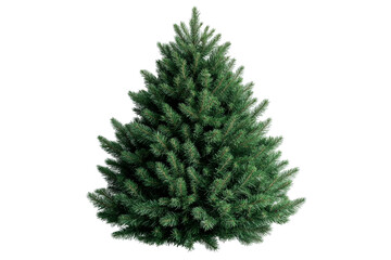 Lush green fir tree, evergreen plant, isolated, seasonal, holiday decoration, cut out transparent