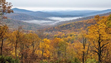 Fototapeta premium Misty autumn mountain valley with vibrant fall foliage.