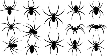 set of black and spiders