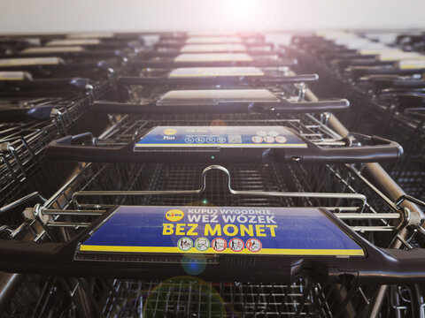 W&oacute;zki, kosze sklepowe, Lidl. Sklep spożywczy Lidl, w&oacute;zki ustawione w rzędzie, w&oacute;zki bez monet.