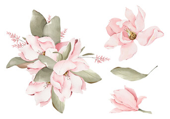 Watercolor Magnolia Flower Set: Delicate Pink Flowers, Leaves, Buds, Hand Painted Spring Botanical Illustration on Transparent Background, Floral collection for Wedding Invitations, Bridal Shower © ArtMaslyana