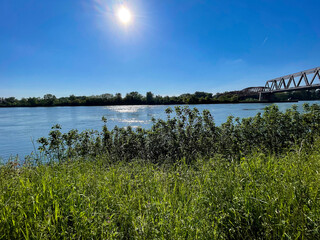 Rhein bei Iffezheim, Rheinebene kurz vor Sonnenuntergang