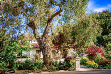 Countryside style homes surrounded with rich greenery and landscape with trees and blue sky within a Southern California neighborhood 