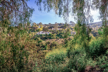 Countryside style homes surrounded with rich greenery and landscape with trees and blue sky within a Southern California neighborhood 
