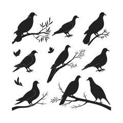 Obraz premium Bird silhouette bundle vector design