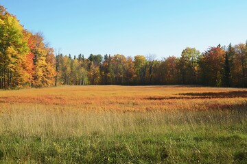 peaceful vibe of wild&rsquo;s change glows in broad span of an October meadow in chill zone clad in vivid harvest hues  
