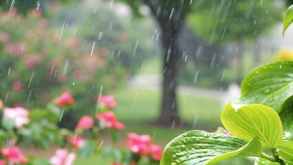 Dreamy spring rain soft raindrops fresh green