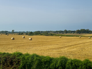 Obraz premium Civitavecchia, Italy - July 7, 2024: Agricultureal landscape. Straw rolls on field where the grain was harvested along E80 freeway under blue sky
