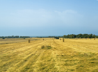 Civitavecchia, Italy - July 7, 2024: Agricultureal landscape. Straw cubes on field where the grain was harvested along E80 freeway under blue sky