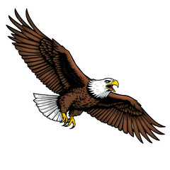 Obraz premium A majestic bald eagle soars with outstretched wings, a symbol of wild freedom against the blue sky