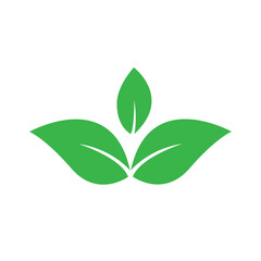 green leaf icon