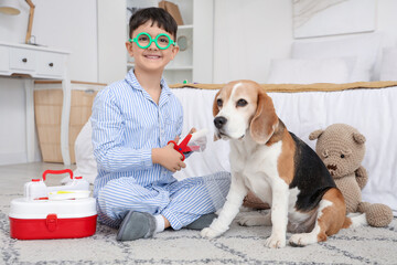 Funny little doctor bandaging Beagle dog's paw in bedroom