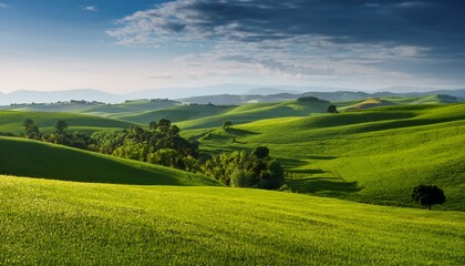 Obraz premium lush green hills with trees and fields