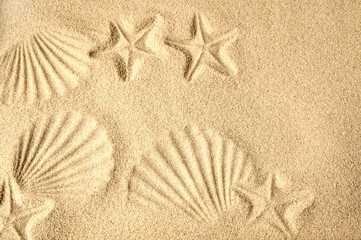 Top view of a sandy beach. Sand background. Imprints of mollusks and starfish in the sand.