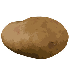 Potato illustration