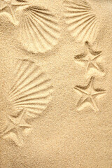 Top view of a sandy beach. Sand background. Imprints of mollusks and starfish in the sand.