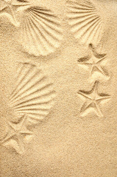Top view of a sandy beach. Sand background. Imprints of mollusks and starfish in the sand.