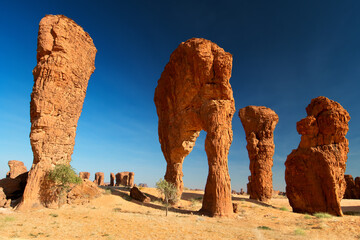 Ennedi Plateau is located in Northeast of Chad.