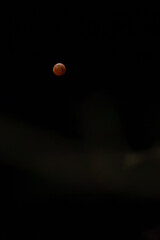 Blood moon in March 2025
