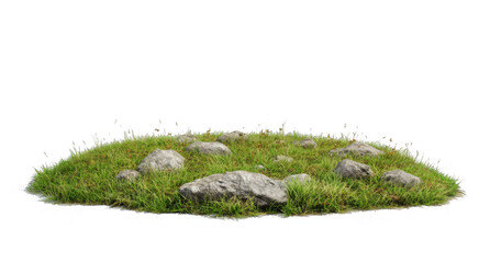 Fototapeta premium Green grass patch isolated on transparent background. Nature, eco, environment, and organic concept. 