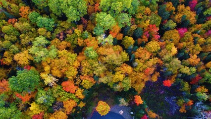 Bright Fall Foliage Colors on Trees in New England from above