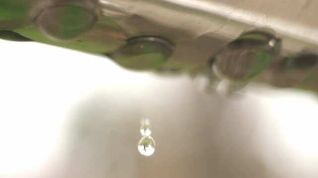 water droplets macro