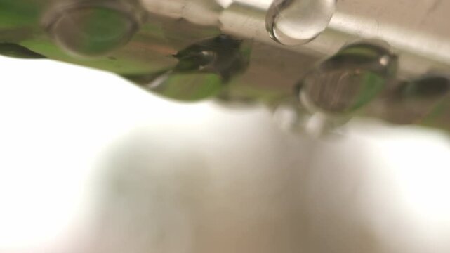 water droplets macro