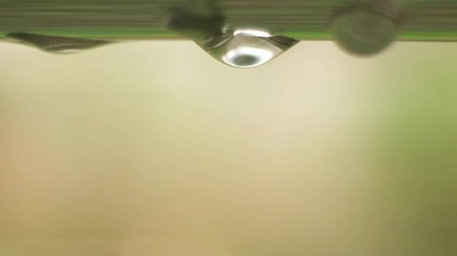 water droplets macro