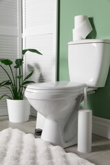 Folding screen, toilet bowl and houseplant in restroom
