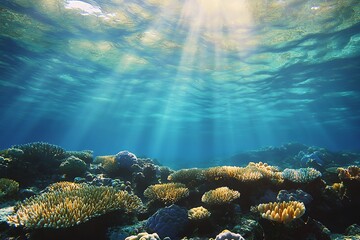 Fototapeta premium This movie celebrates the grand beauty and green value of the Great Barrier Reef, showing its wide span, diverse coral, and urgent need to protect it. 