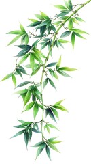 Naklejka premium Elegant Watercolor Painting of Bamboo Branch