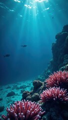 Obraz premium Calm, mysterious dark blue ocean surface reflected in coral reef, ocean surface, underwater, blue