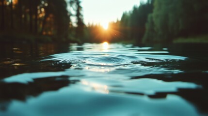 Tranquil river at sunset, reflecting forest