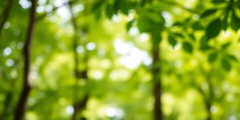 Soft, blurry green forest leaves, bokeh effect, abstract background, background, woodland