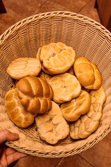 Hand Holding a Basket of Freshly Baked Czech Bread Rolls